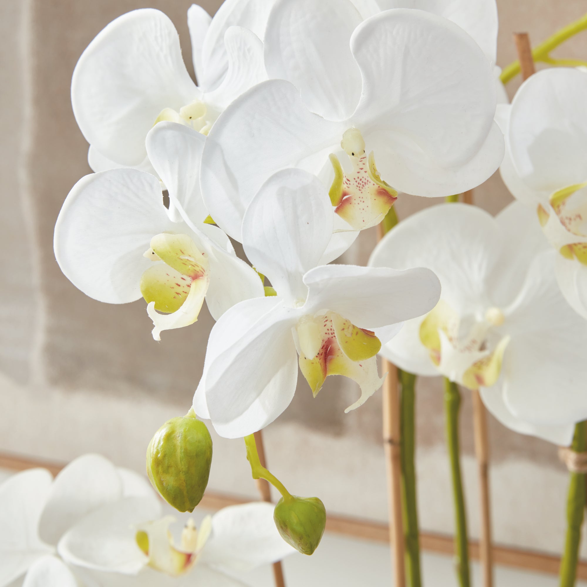 Faux Greenery, Indoor Topiary Plants & Botanical Drop-Ins