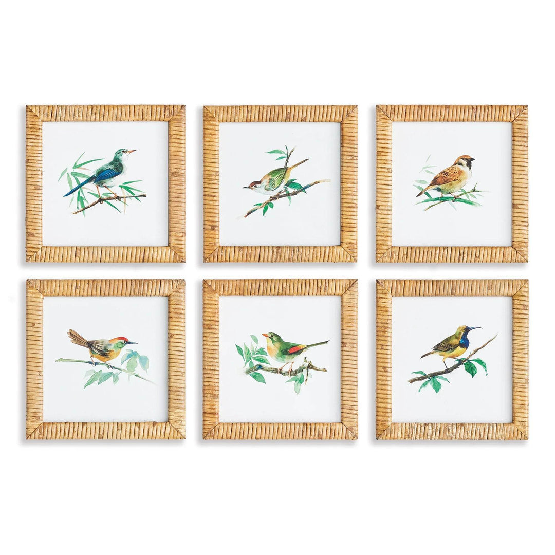 Songbird Petite Prints St/6