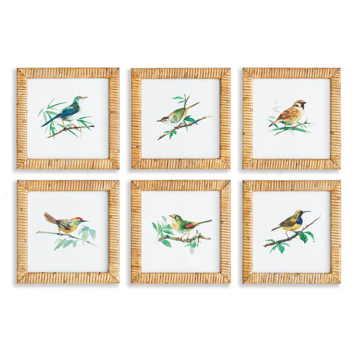 Songbird Petite Prints St/6