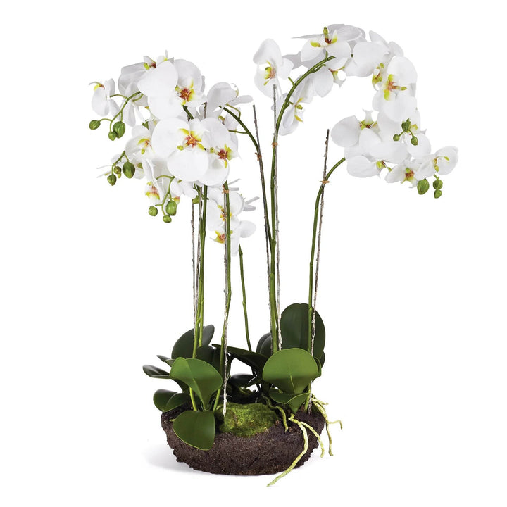 Faux White Moth Orchid Bowl Drop-In