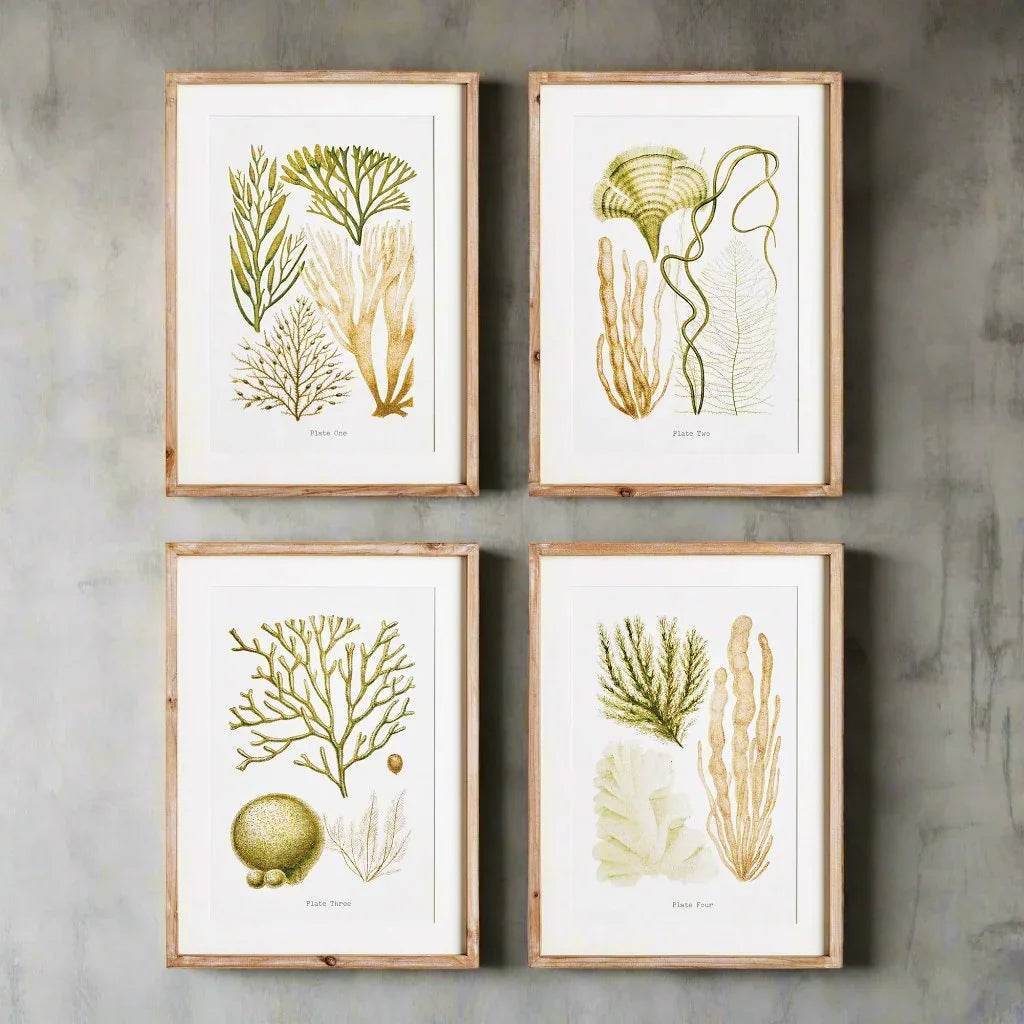 Coral Study Wall Prints, Coastal Themed