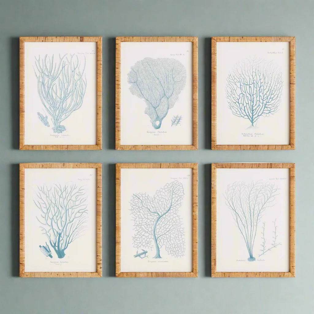 Sea Fan And Coral Study Wall Art