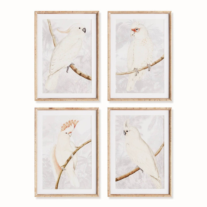 Cockatoo Prints in Neutral Tones with Rattan Wrapped Wood Frames