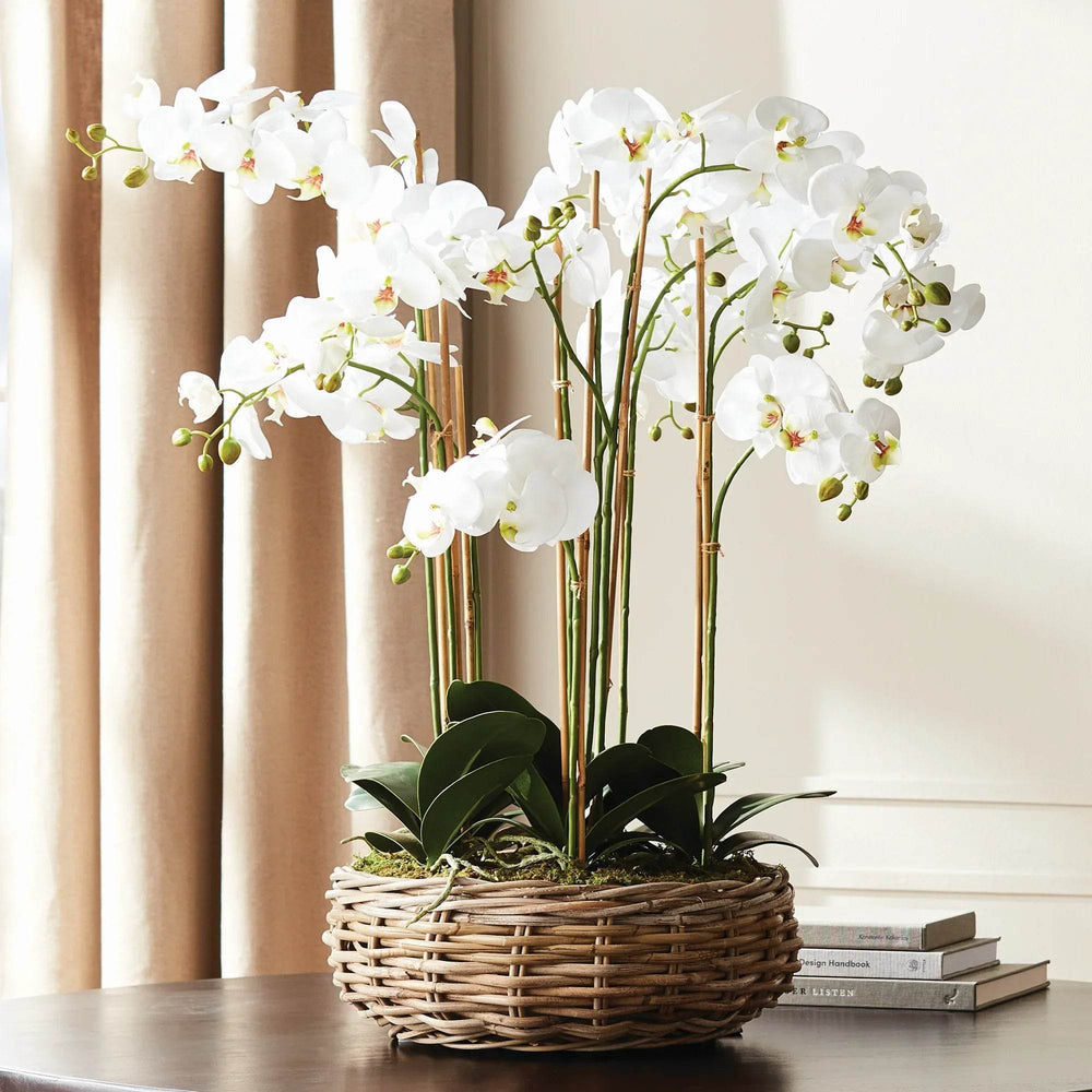 Realistic White Moth Orchid Artificial Drop-In Bowl Arrangement