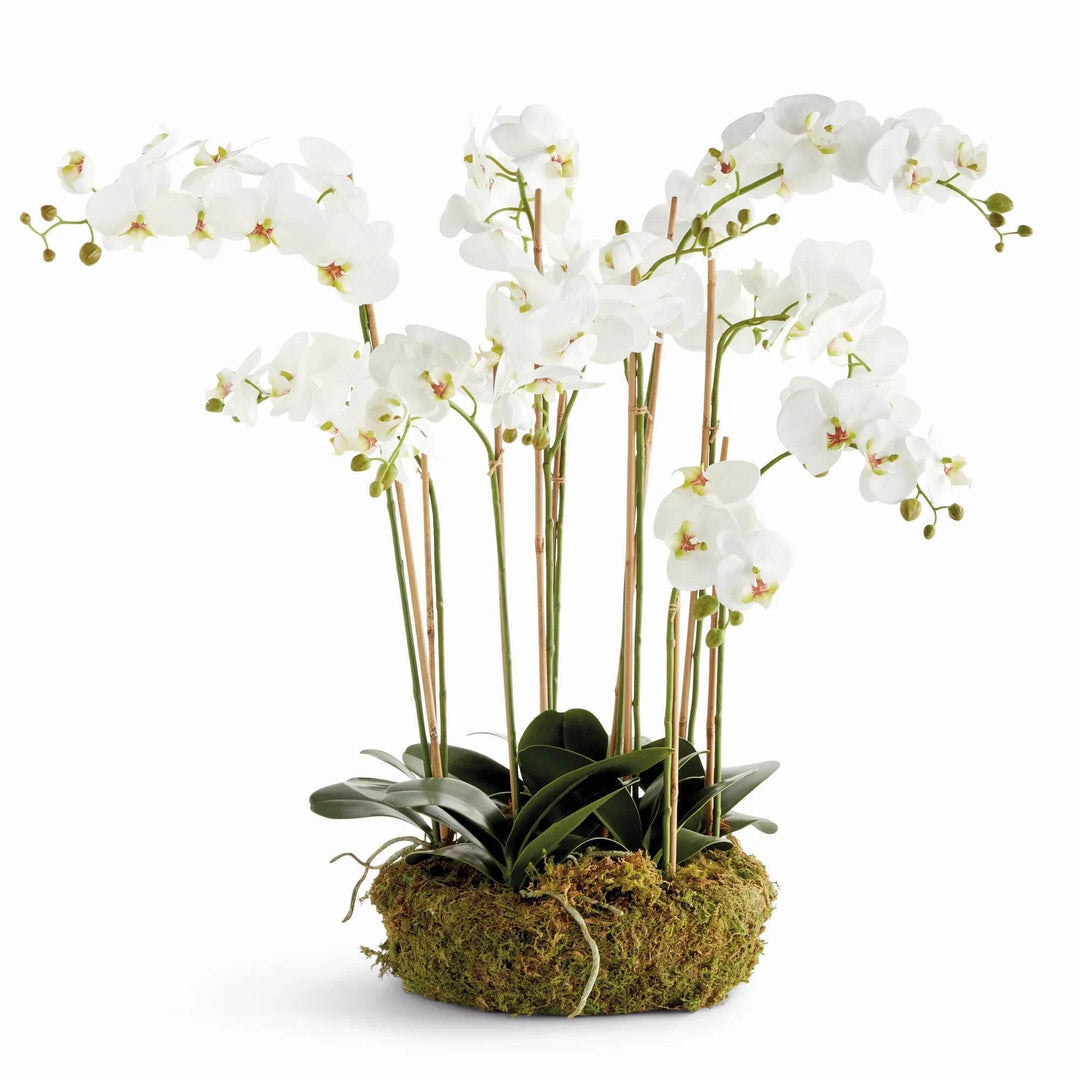 Realistic White Moth Orchid Artificial Drop-In Bowl Arrangement