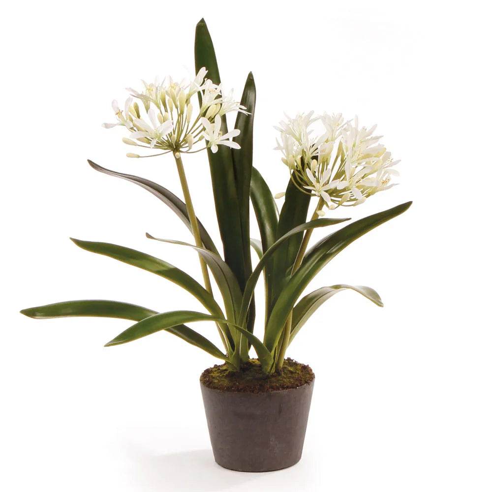 Artificial white agapanthus drop-in plant with lifelike blooms and foliage, 23 inches tall