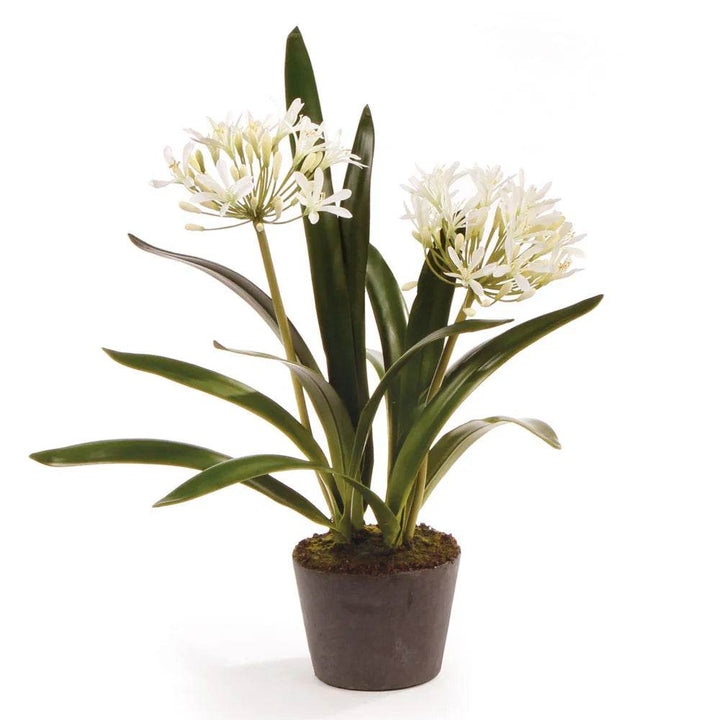Artificial white agapanthus drop-in plant with lifelike blooms and foliage, 23 inches tall