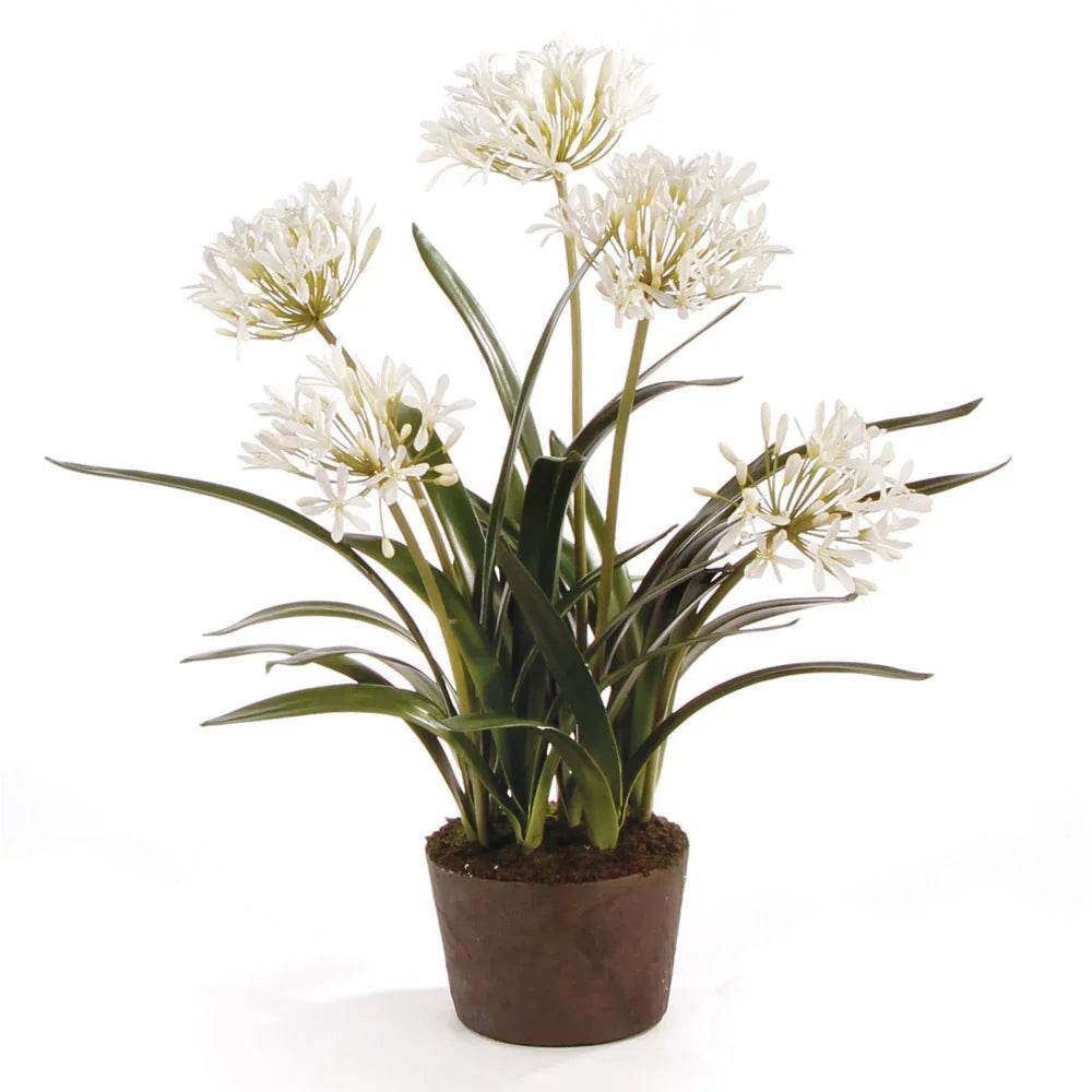 Artificial white agapanthus drop-in plant, 29 inches tall with lifelike blooms and green foliage in realistic root ball base