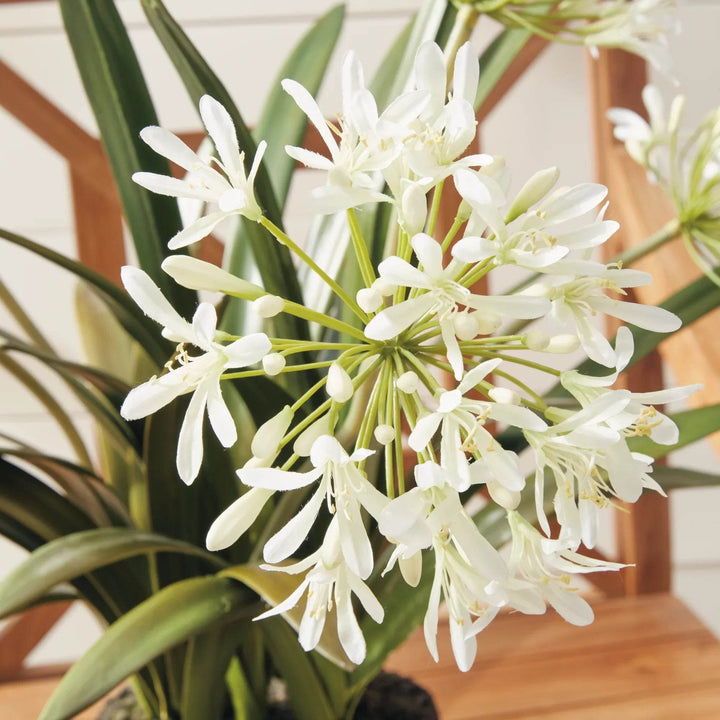 Close-up of artificial white agapanthus bloom with delicate petals and buds against green foliage background
