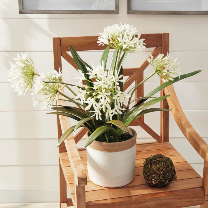 Artificial white agapanthus drop-in plant placed in ceramic pot on wooden chair, showing full 29 inch scale