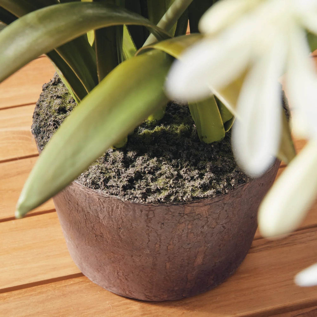 Detail of realistic root ball base of artificial white agapanthus drop-in with soil effect finish