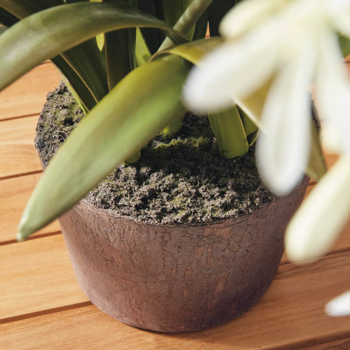 Detail of realistic root ball base of artificial white agapanthus drop-in with soil effect finish