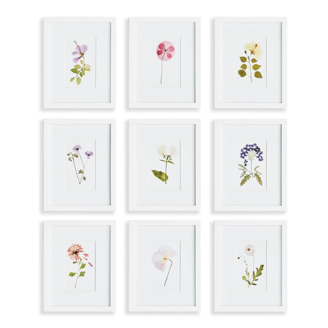 Mountain Flower Petite Prints St/9