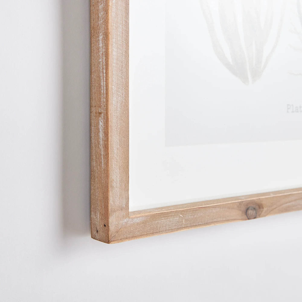 Elevate your home decor with these beautifully crafted coral Study wall prints in a coastal themed style. Designed to add warmth and sophistication, these pieces pair burnt amber tones and rich verdant hues with a simple whitewashed wood frame. Perfect for creating an upscale coastal cottage aesthetic, these prints are a must-have addition to any room.