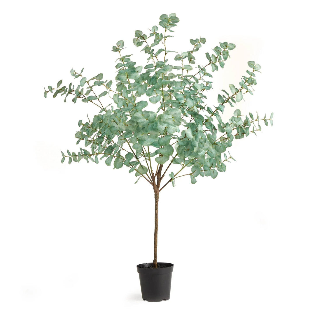 Realistic eucalyptus tree drop-in in black nursery pot, minimalist greenery styling