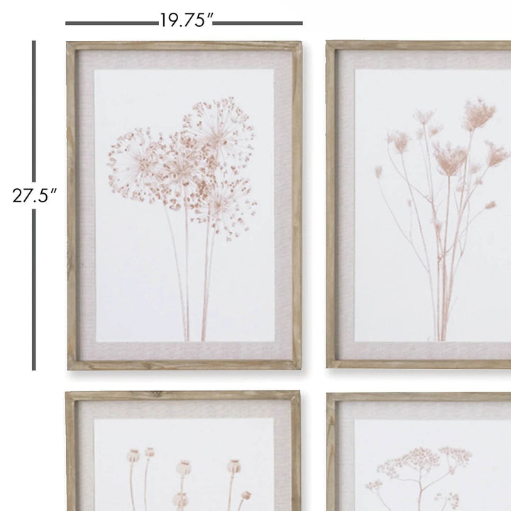 Two framed botanical prints with visible dimensions and natural pine frames, part of a sepia-toned farmhouse wall art set of 4.