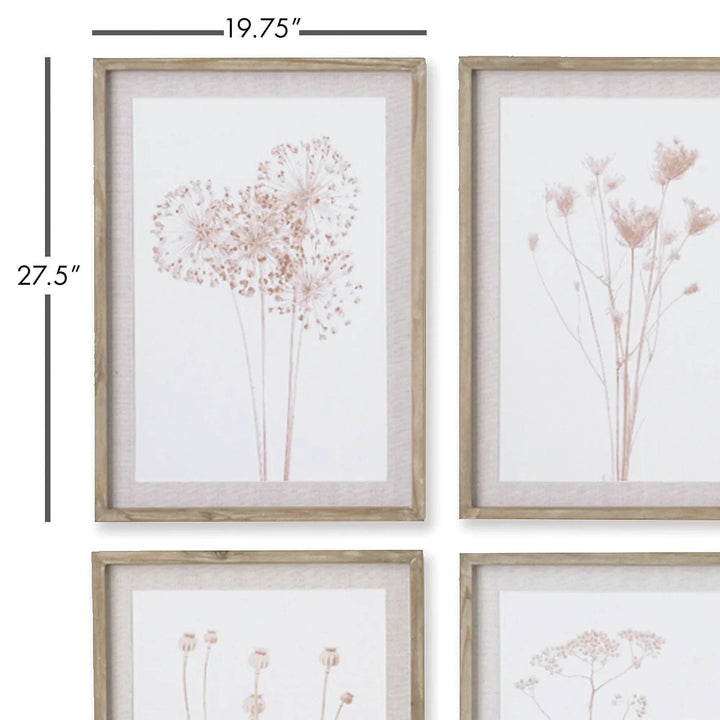 Two framed botanical prints with visible dimensions and natural pine frames, part of a sepia-toned farmhouse wall art set of 4.
