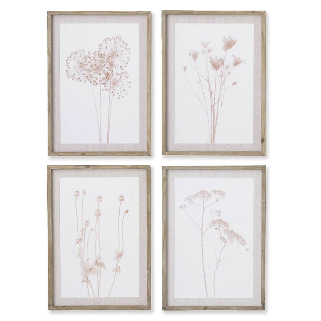 Full set of four sepia-toned botanical prints in natural pine frames with mats, styled for soft farmhouse or rustic-modern interiors.