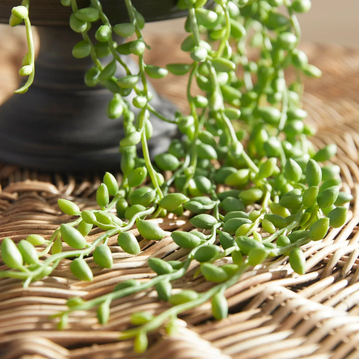Close-up of faux string of pearls showing rounded green vines and realistic texture, trailing across tabletop – Modern Organic.