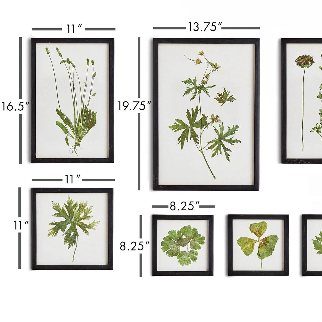 Close-up of framed botanical prints showing detailed size measurements for each frame in the set.
