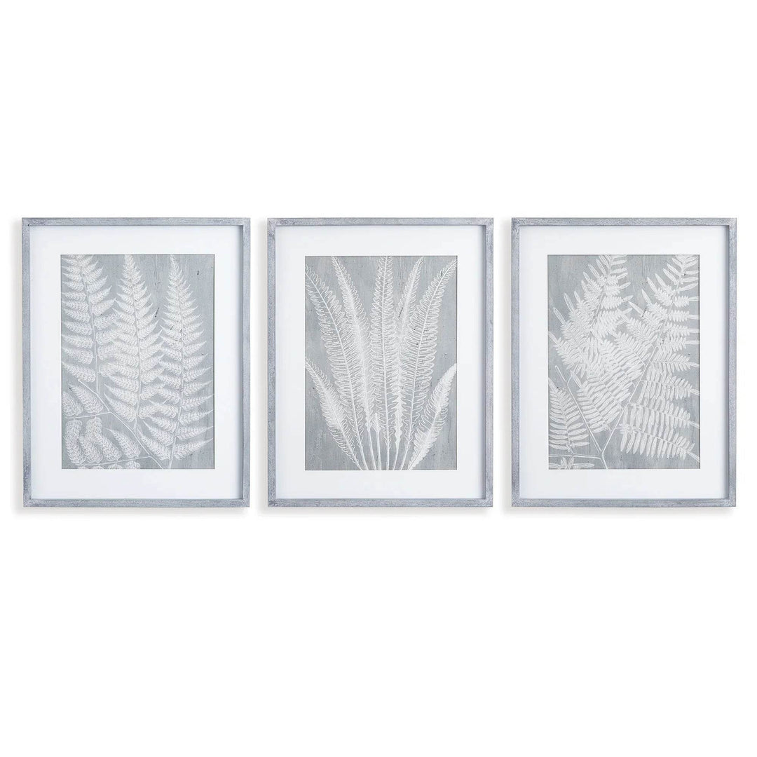 Set of three framed fern prints in soft gray tones, ideal for modern natural or traditional wall decor.