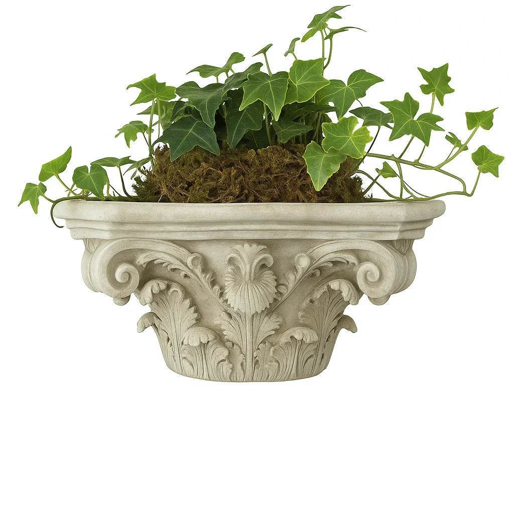 Antique white French Capital wall planter with ivy, showcasing sculptural detail against a clean white product background.