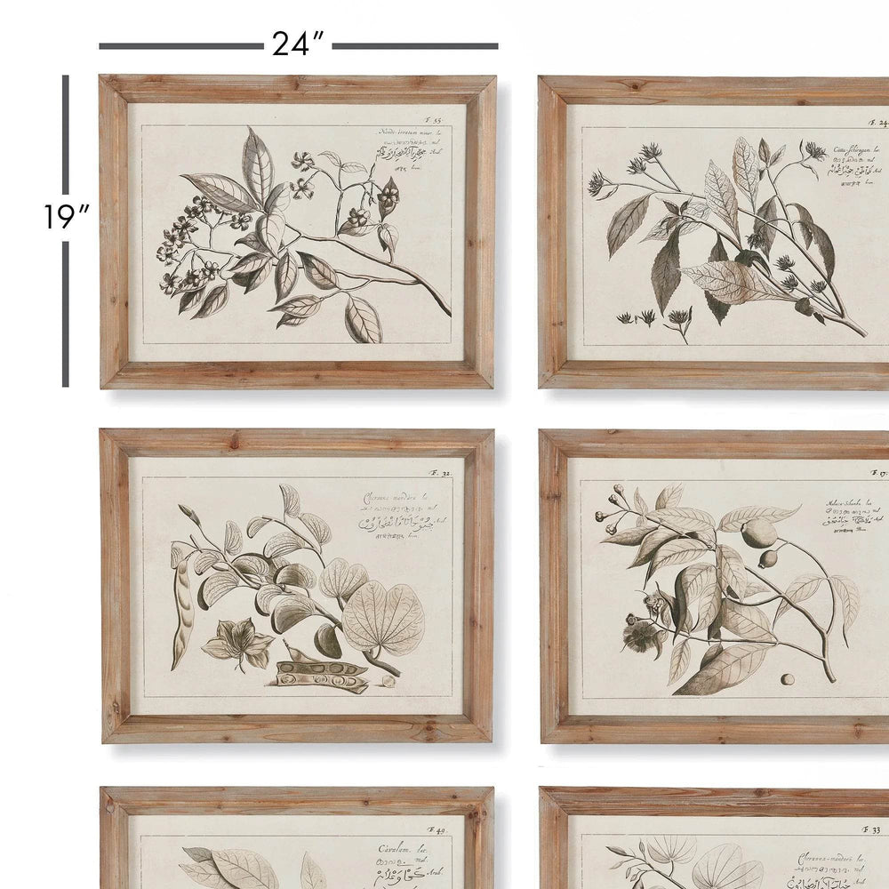Full view of six-piece fruit branch botanical wall art set in natural wood frames, styled in Coastal Naturalist tone.