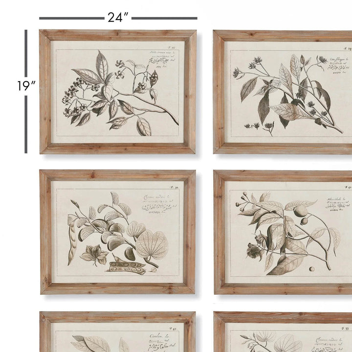 Full view of six-piece fruit branch botanical wall art set in natural wood frames, styled in Coastal Naturalist tone.