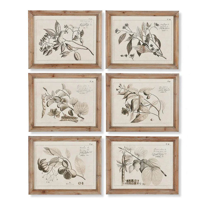 Olive branch botanical drawing in natural wood frame, Coastal Naturalist wall art set, vintage-style landscape orientation.