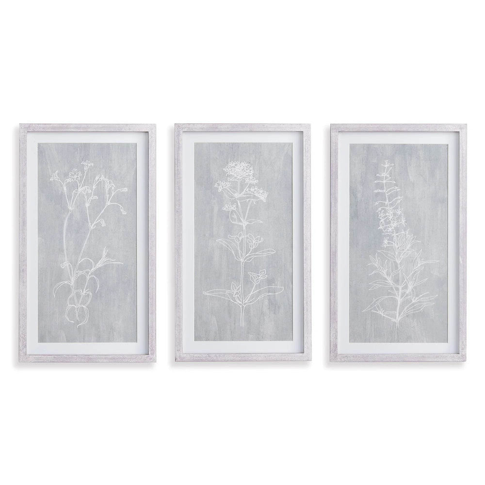 Trio of vertical framed botanical prints with white sketches and gray background, clean modern farmhouse look
