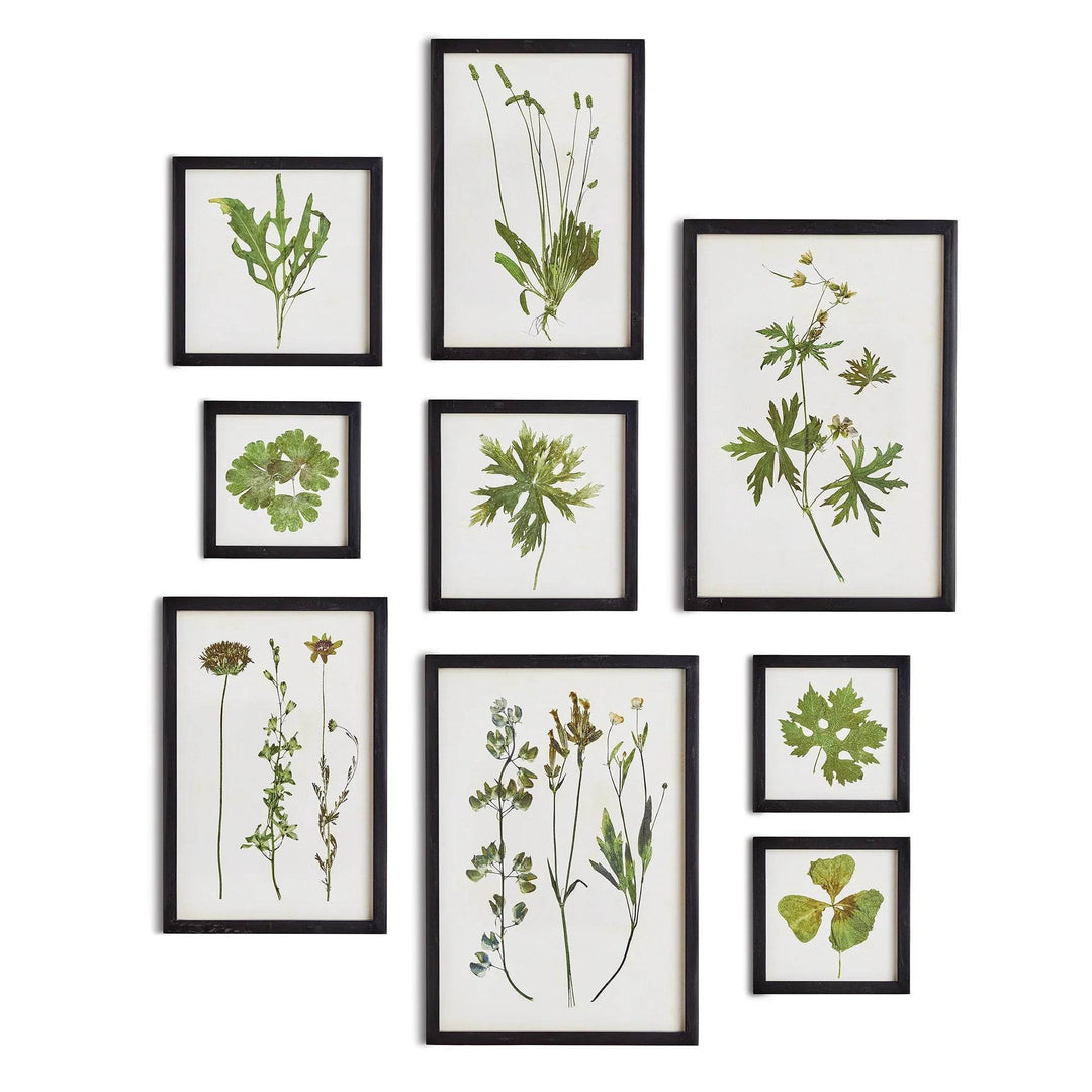 Nine unique green leaf and floral pressed-style prints arranged in a structured gallery wall layout