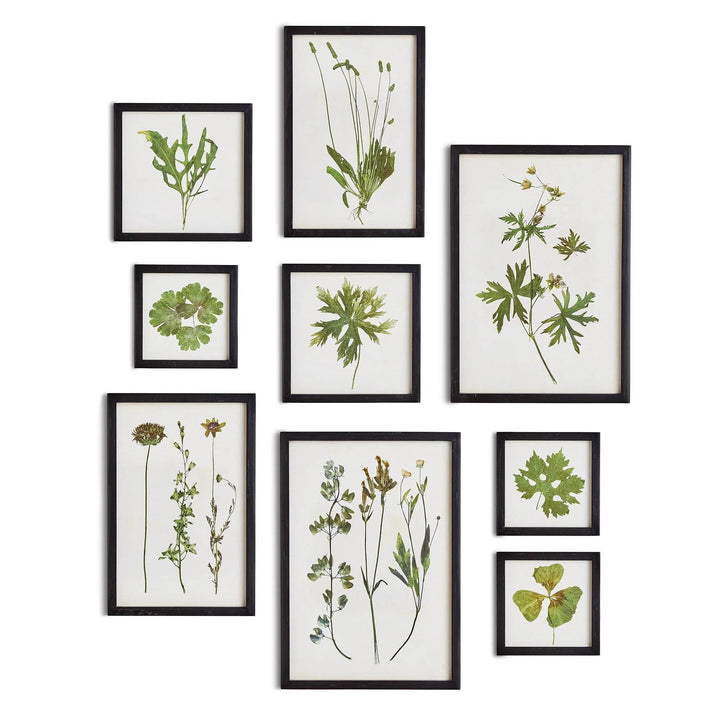 Nine unique green leaf and floral pressed-style prints arranged in a structured gallery wall layout