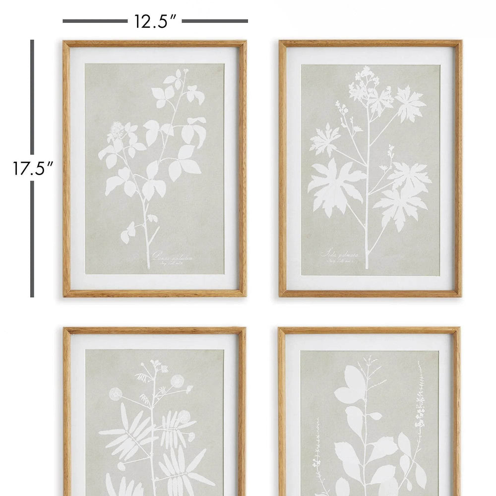 Wall art dimensions showing modern organic botanical prints in light wood frames.