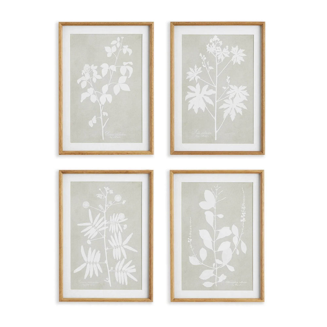 Modern organic framed botanical wall art set with white leaf silhouettes on taupe backgrounds.