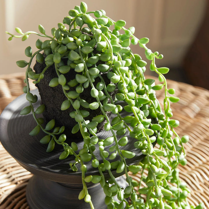 Faux string of pearls drop-in shown from above with cascading greenery and visible soil-textured root base – Modern Organic.
