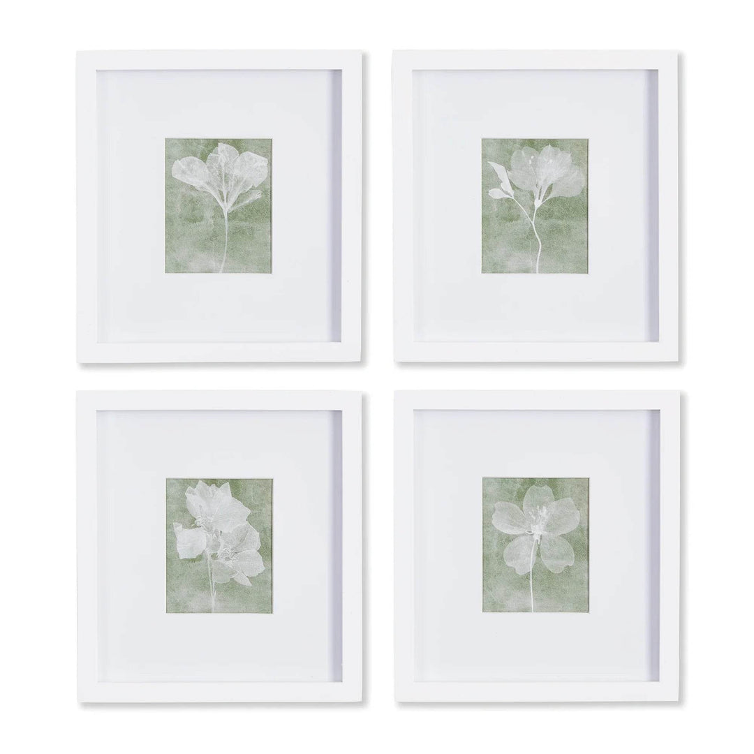 Set of four translucent green and white floral prints in white frames styled in grid layout