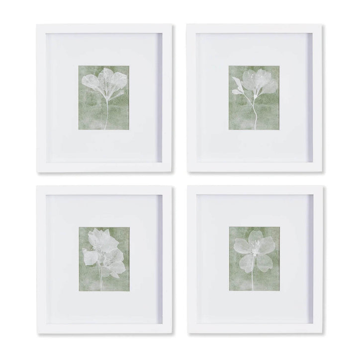 Set of four translucent green and white floral prints in white frames styled in grid layout