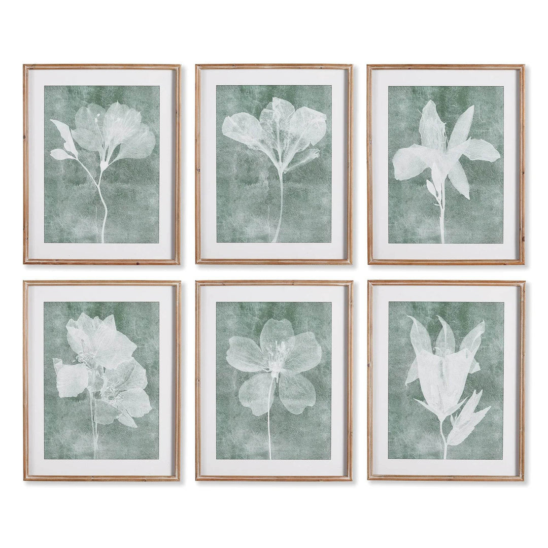 Set of six translucent floral prints in soft green tones with wood frames, transitional nature-inspired wall art