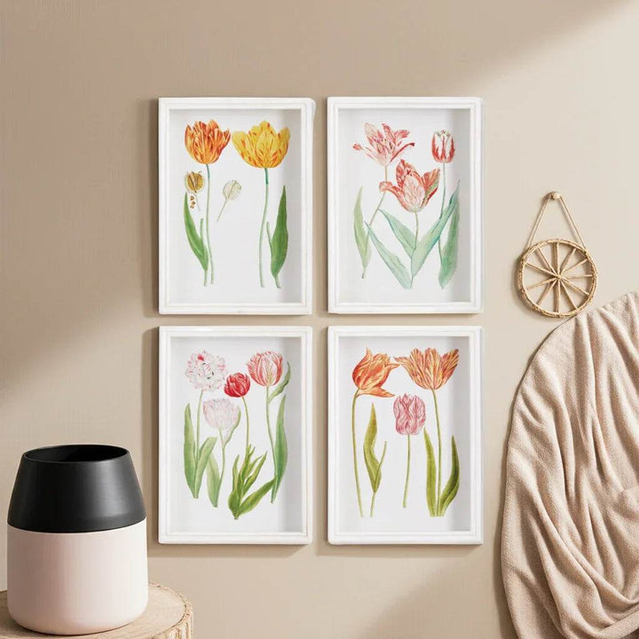 Four tulip botanical prints with white frames, styled above console beside neutral blanket and decor – Cottage Garden
