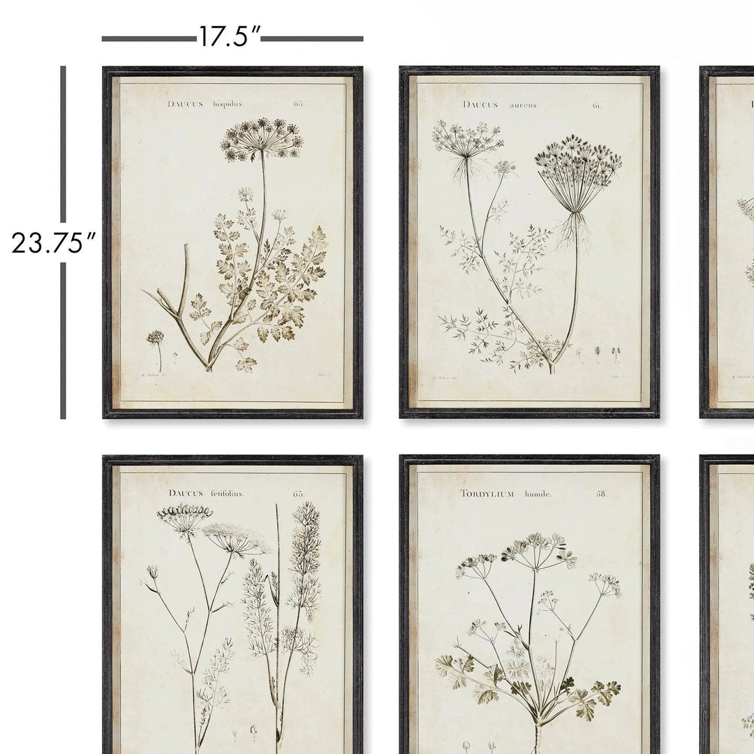 Detailed wall art size view showing botanical prints with frame measurements of 17.5 x 23.75 inches.