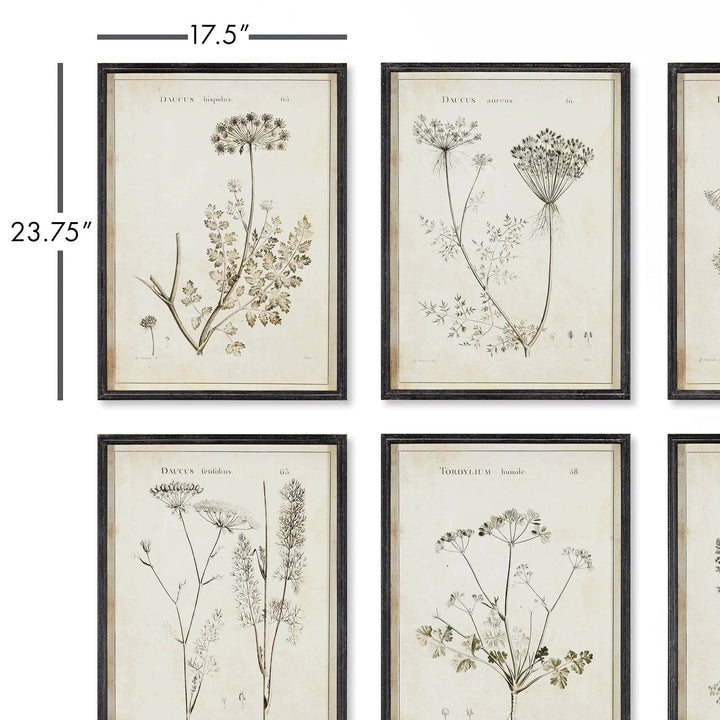 Detailed wall art size view showing botanical prints with frame measurements of 17.5 x 23.75 inches.