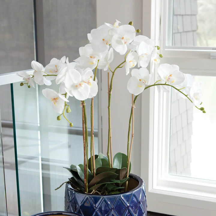 White phalaenopsis orchid drop-in displayed in blue ceramic pot near window, adding lifelike greenery to modern organic interiors.