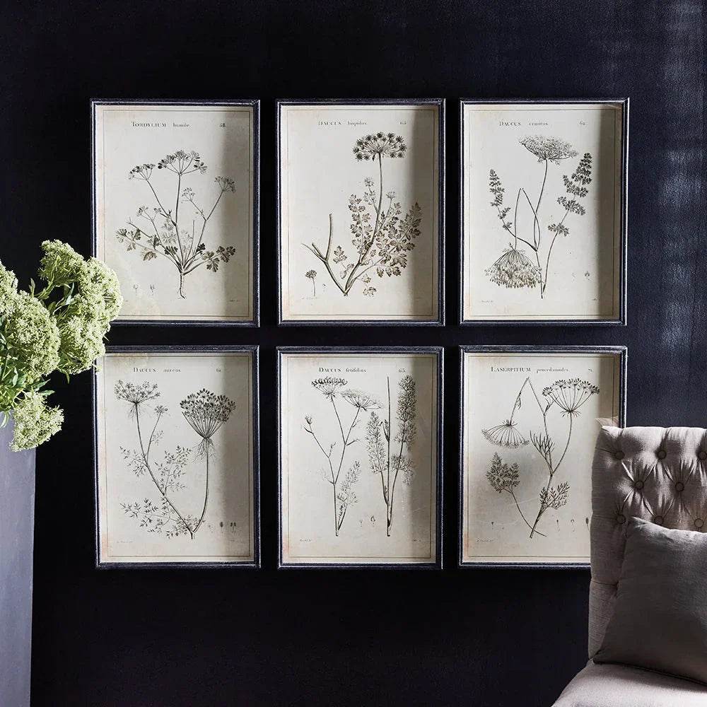 Wildflower art prints in black frames arranged in a cozy gallery wall setting with dark walls and green florals.