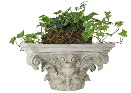 French Capital Wall Planter or shelf