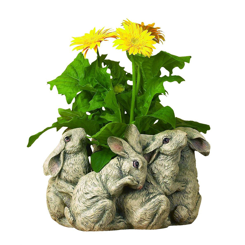 Decorative Planters