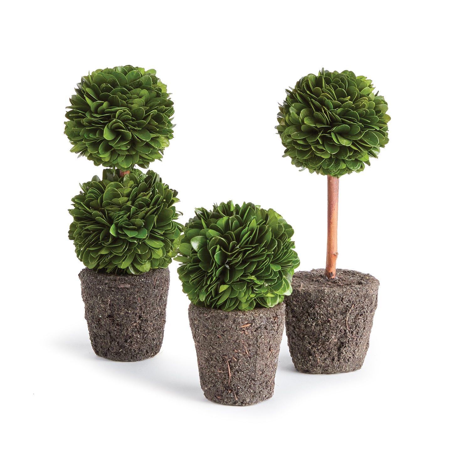 Introducing a novel idea, real English boxwoods with their own standard root ball, ready to drop in to your favorite vessel. It's never been easier. Preserved and painstakingly assembled by our masterful topiary artists, and now customizable to your choice of pot. The possibilities are endless!