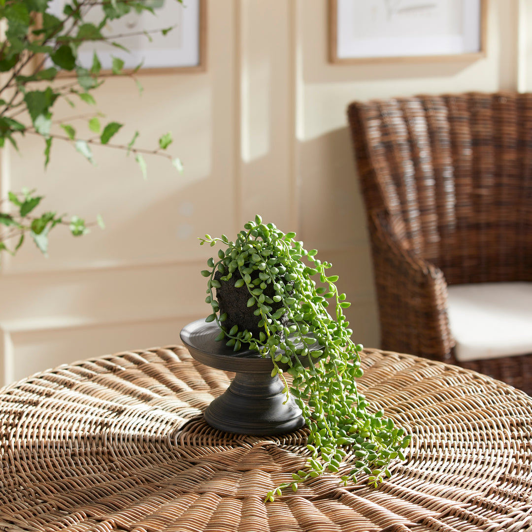 Our Artificial Plants are expertly crafted to replicate the beauty and charm of a mature string of pearls, without the maintenance. Each drop-in is 100% realistic, from the carefully designed root ball to the stunning end result. Add these no-hassle works of art to any decor for a touch of natural elegance.