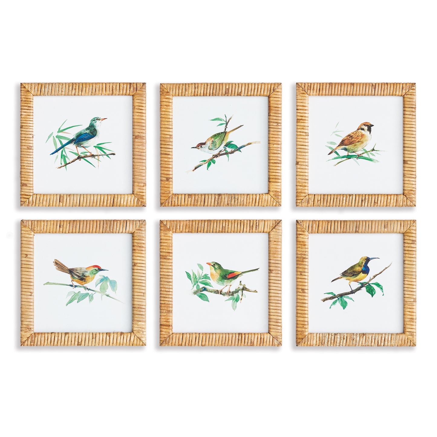 These sweet little songbirds will make your walls sing. Finished off with rattan frames, this petite set of six prints are ideal for small spaces. Separate and tuck them into a bookshelf, or hang them together in powder room or narrow hallway.