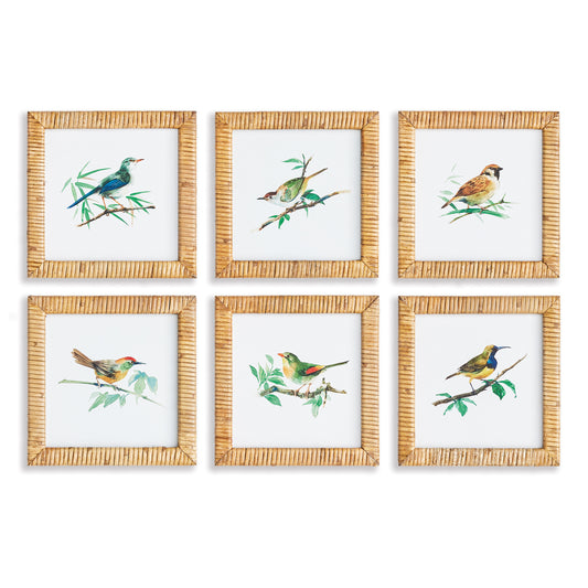 These sweet little songbirds will make your walls sing. Finished off with rattan frames, this petite set of six prints are ideal for small spaces. Separate and tuck them into a bookshelf, or hang them together in powder room or narrow hallway.