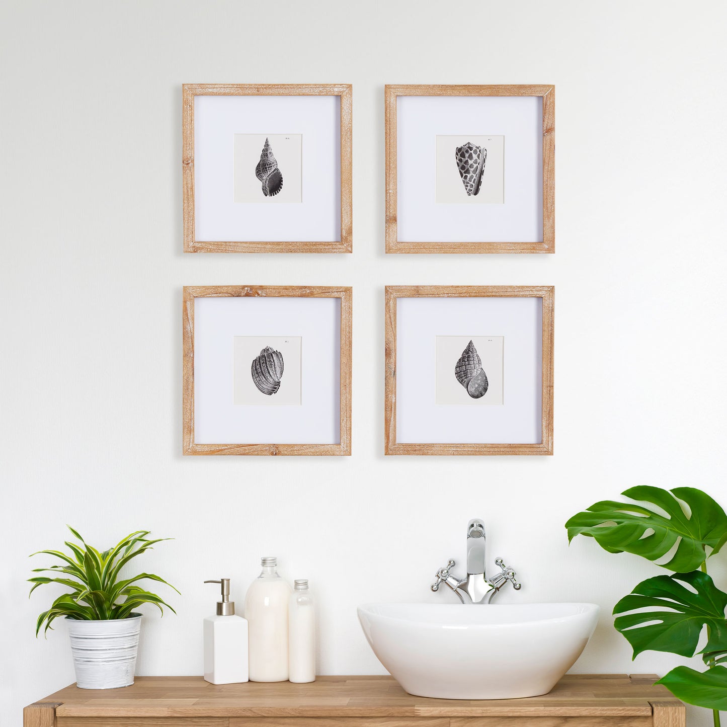 Capture the natural elegance of the seaside with Seashell Coastal Wall Prints, Set Of 4. These petite prints, framed in natural wood, beautifully showcase the detailed beauty of nature in black and white. A perfect addition to any coastal decor, these prints offer a stunning display of nature's intricacies.